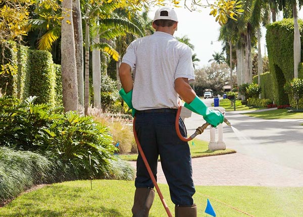 About Moody AL Pest Control